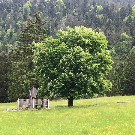 Appartement Farchanter Alm Mit Schlafzimmer, Wohnzimmer Und Schlafnische Farchant